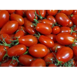 Tomate noire de Crimée